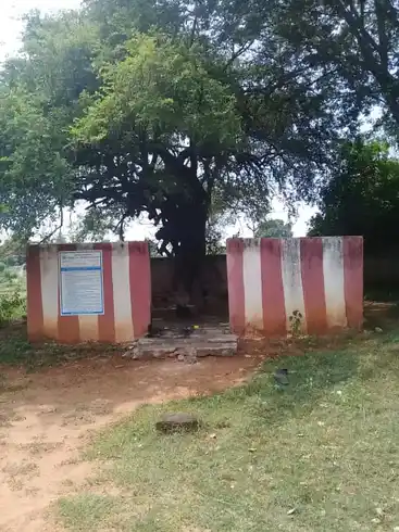 Arulmigu Pillayar Arasaradi Vinayagar Temple, Kathappattu - 630554 Arulmigu Pillayar Arasaradi Vinayagar Temple, Kathappattu - 630554, Sivagangai - Ancient Temple Architecture and History Image 2