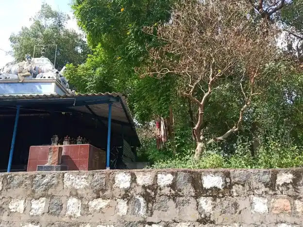 Arulmigu Pillayar Karappanar Pidariamman Temple, Arasanatham - 636107 அருள்மிகு பிள்ளையார், கருப்பனார், பிடாரியம்மன் திருக்கோயில், Arasanatham - 636107, Salem - Ancient Temple Architecture and History Image 3