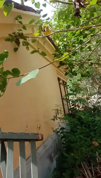 Arulmigu Pillayar Kovilr Temple, Veerakkan - 610105 அருள்மிகு பிள்ளையார் திருக்கோயில், Veerakkan - 610105, Thiruvarur - Ancient Temple Architecture and History Image 4