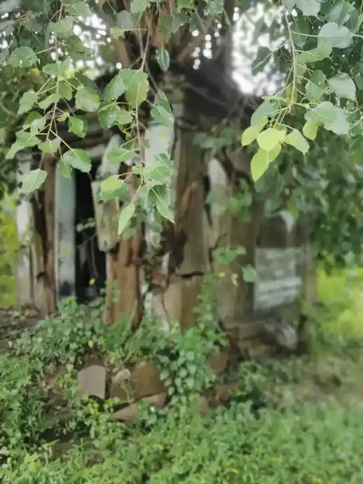 Arulmigu Pillayar Temple, Chitharkadu - 603302 அருள்மிகு பிள்ளையார் திருக்கோயில், Chitharkadu - 603302, Chengalpattu - Ancient Temple Architecture and History Image 3