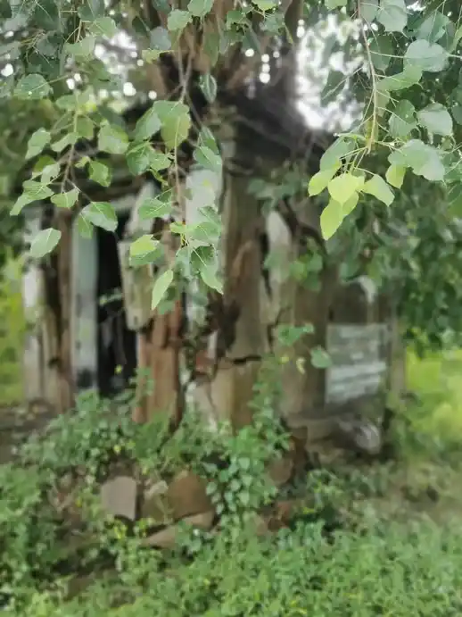 Arulmigu Pillayar Temple, Chitharkadu - 603302 அருள்மிகு பிள்ளையார் திருக்கோயில், Chitharkadu - 603302, Chengalpattu - Ancient Temple Architecture and History Image 5