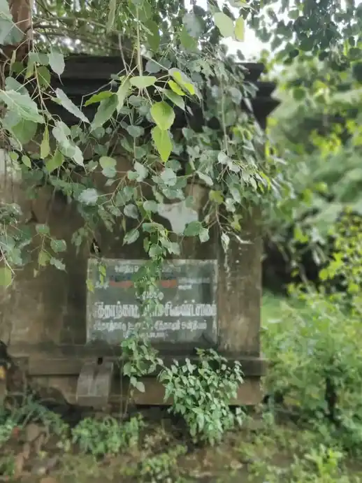 Arulmigu Pillayar Temple, Chitharkadu - 603302 அருள்மிகு பிள்ளையார் திருக்கோயில், Chitharkadu - 603302, Chengalpattu - Ancient Temple Architecture and History Image 6