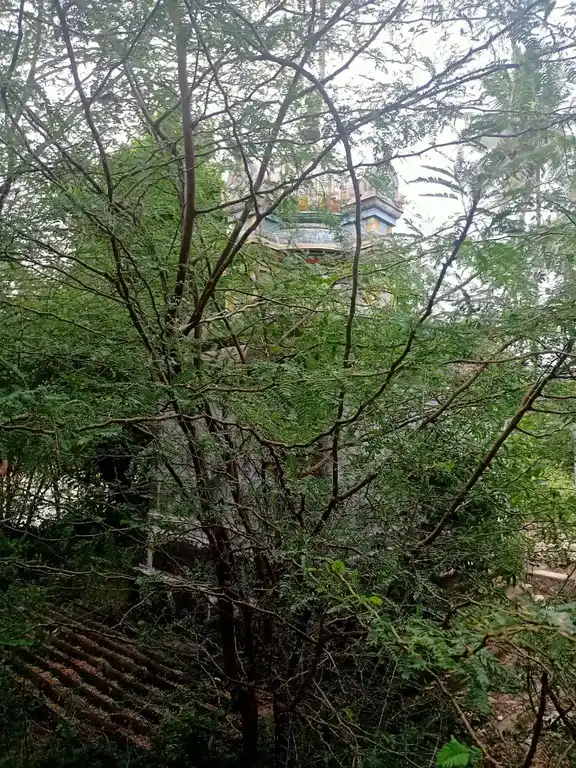 Arulmigu Pillayar Temple, Kalliyur - 614710 அருள்மிகு பிள்ளையார் திருக்கோயில், Kalliyur - 614710, Thiruvarur - Ancient Temple Architecture and History Image 4