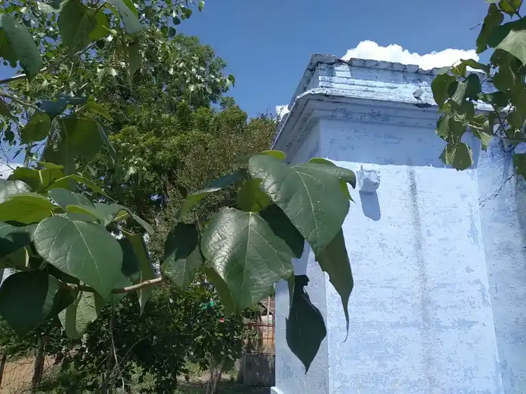 Arulmigu Pillayar Temple, Kanmai Karai Near, A.Lakshmiyapuram. - 626124 அருள்மிகு பிள்ளையார் திருக்கோயில், கண்மாய்க் கரை அருகில், ஆ.லட்சுமியாபுரம் கிராமம் - 626124, Virudhunagar - Ancient Temple Architecture and History Image 2