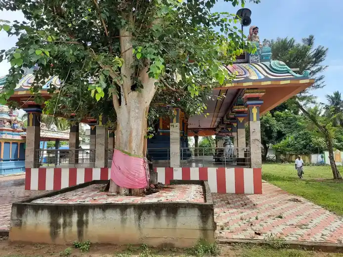 Arulmigu Pillayar Temple, Kelathiruppalakudi, Kelathiruppalakudi - 614018 அருள்மிகு பிள்ளையார் திருக்கோயில், கீழத்திருப்பாலக்குடி, கீழத்திருப்பாலக்குடி - 614018, Thiruvarur - Ancient Temple Architecture and History Image 3