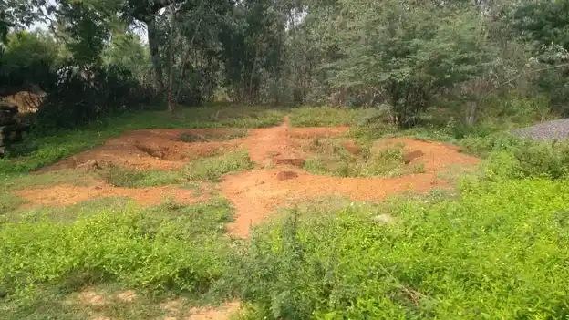 Arulmigu Pillayar Temple, Kunjuveli, Ariyalur - 621701 Temple