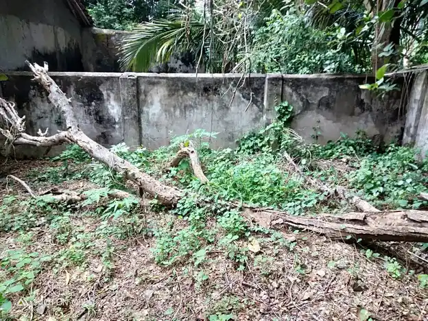 Arulmigu Pillayar Temple, Manthai, Maanthai - 609805 அருள்மிகு பிள்ளையார் திருக்கோயில், மாந்தை - 609805, Mayiladuthurai - Ancient Temple Architecture and History Image 4