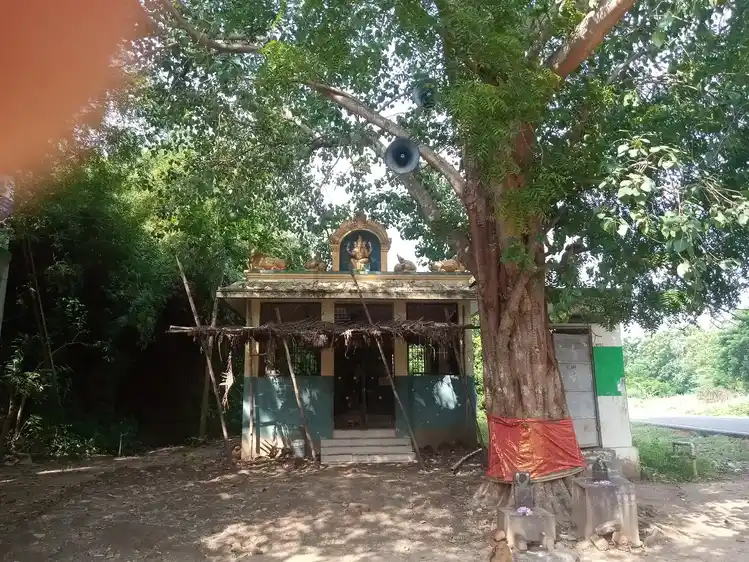 Arulmigu Pillayar Temple, Nedungulam - 609403