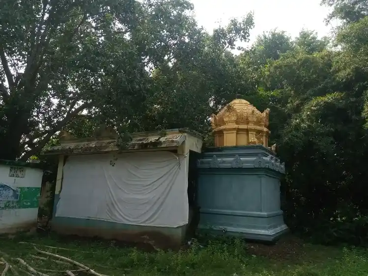 Arulmigu Pillayar Temple, Nedungulam - 609403 அருள்மிகு பிள்ளையார் திருக்கோயில், Nedungulam - 609403, Thiruvarur - Ancient Temple Architecture and History Image 5