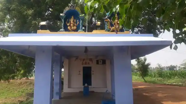 Arulmigu Pillayar Temple, Out Side Of The Village, Palankottai - 628552