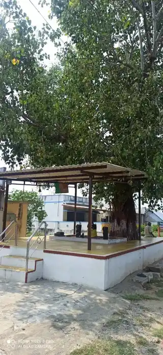 Arulmigu Pillayar Temple, Pachampalayam - 638501 அருள்மிகு பிள்ளையார்சுவாமி திருக்கோயில், Pachampalayam - 638501, Erode - Ancient Temple Architecture and History Image 2