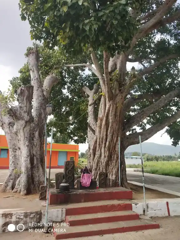 Arulmigu Pillayar Temple, Thithiyopanahalli - 636809 அருள்மிகு பிள்ளையார் திருக்கோயில், Thithiyopanahalli - 636809, Dharmapuri - Ancient Temple Architecture and History Image 3