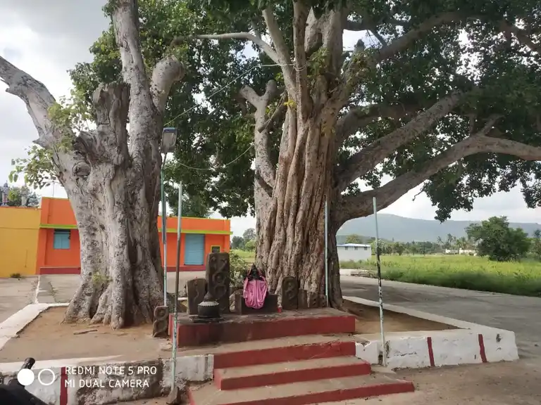 Arulmigu Pillayar Temple, Thithiyopanahalli - 636809 அருள்மிகு பிள்ளையார் திருக்கோயில், Thithiyopanahalli - 636809, Dharmapuri - Ancient Temple Architecture and History Image 5