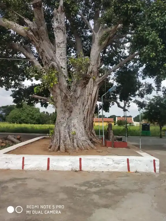 Arulmigu Pillayar Temple, Thithiyopanahalli - 636809 அருள்மிகு பிள்ளையார் திருக்கோயில், Thithiyopanahalli - 636809, Dharmapuri - Ancient Temple Architecture and History Image 7