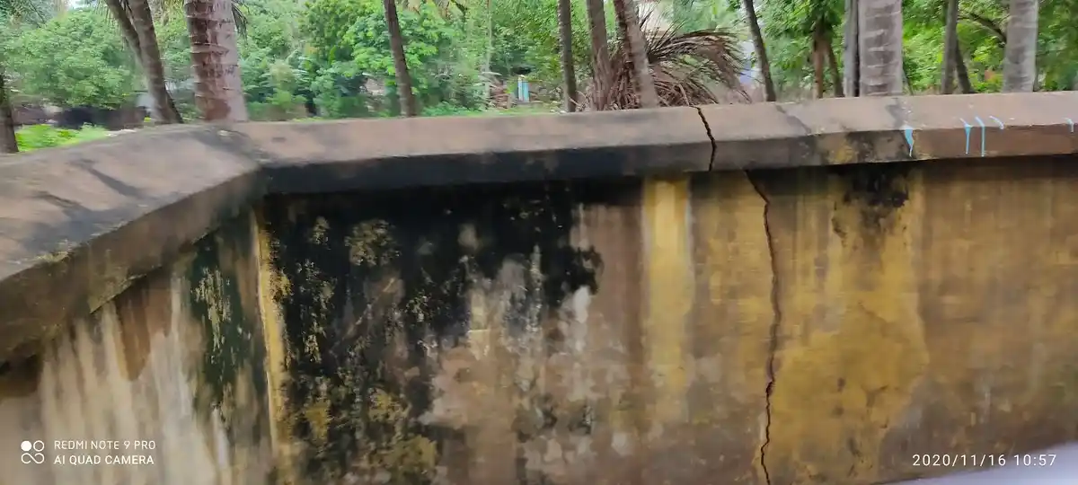 Arulmigu Pillayar, Throwpathiyamman Temple, Paalaakkudi - 612302 அருள்மிகு பிள்ளையார் திரௌபதியம்மன் திருக்கோயில், Paalaakkudi - 612302, Thanjavur - Ancient Temple Architecture and History Image 8