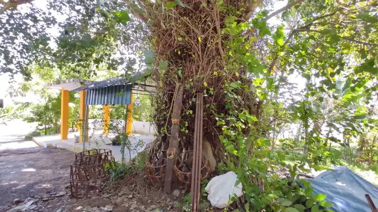 Arulmigu Pillayartemple, Ambalathuveedu, Cheramangalam - 629252 அருள்மிகு பிள்ளையார் திருக்கோயில், Ambalathuveedu, Cheramangalam - 629252, Kanyakumari - Ancient Temple Architecture and History Image 4