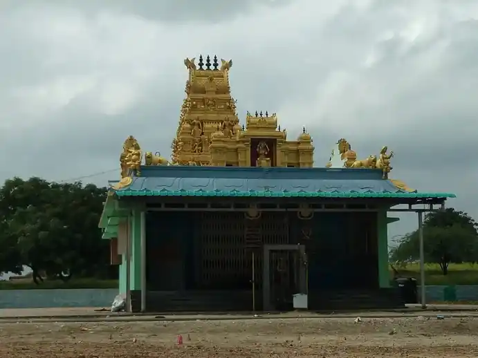 Arulmigu Pilliyar Pidariamman Temple, Parali - 637020 அருள்மிகு பிள்ளையார் பிடாரியம்மன் திருக்கோயில், Parali - 637020, Namakkal - Ancient Temple Architecture and History Image 2