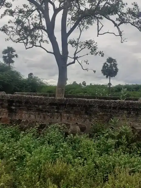 Arulmigu Pinichiyamman Temple, Paalaiyur - 621111 Temple