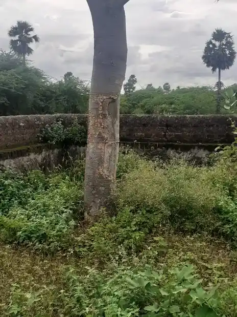 Arulmigu Pinichiyamman Temple, Paalaiyur - 621111 Arulmigu Pinichiyamman Temple, Paalaiyur - 621111, Thiruchirappalli - Ancient Temple Architecture and History Image 3