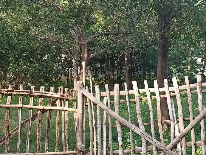 Arulmigu Pinitheerthaamman Temple, Ilaiyaperumalnallur - 612903