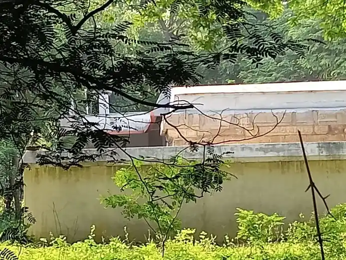 Arulmigu Pinitheerthaamman Temple, Ilaiyaperumalnallur - 612903 அருள்மிகு பினிதீர்த்த அம்மன் திருக்கோயில், Ilaiyaperumalnallur - 612903, Ariyalur - Ancient Temple Architecture and History Image 4