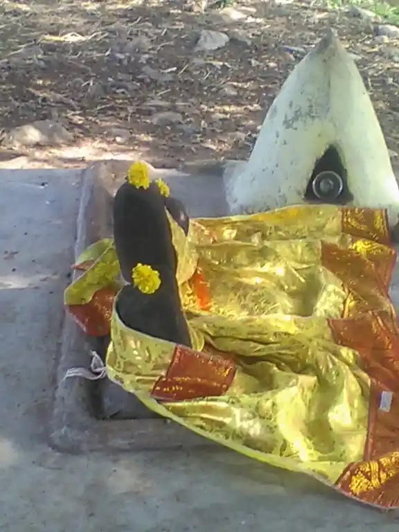 Arulmigu Pinjiamman Temple, Pinjur - 606601 அருள்மிகு பிஞ்சியம்மன் திருக்கோயில், Pinjur - 606601, Tiruvannamalai - Ancient Temple Architecture and History Image 2