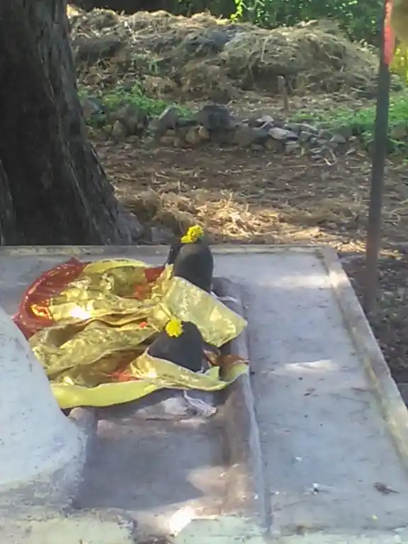 Arulmigu Pinjiamman Temple, Pinjur - 606601 அருள்மிகு பிஞ்சியம்மன் திருக்கோயில், Pinjur - 606601, Tiruvannamalai - Ancient Temple Architecture and History Image 3