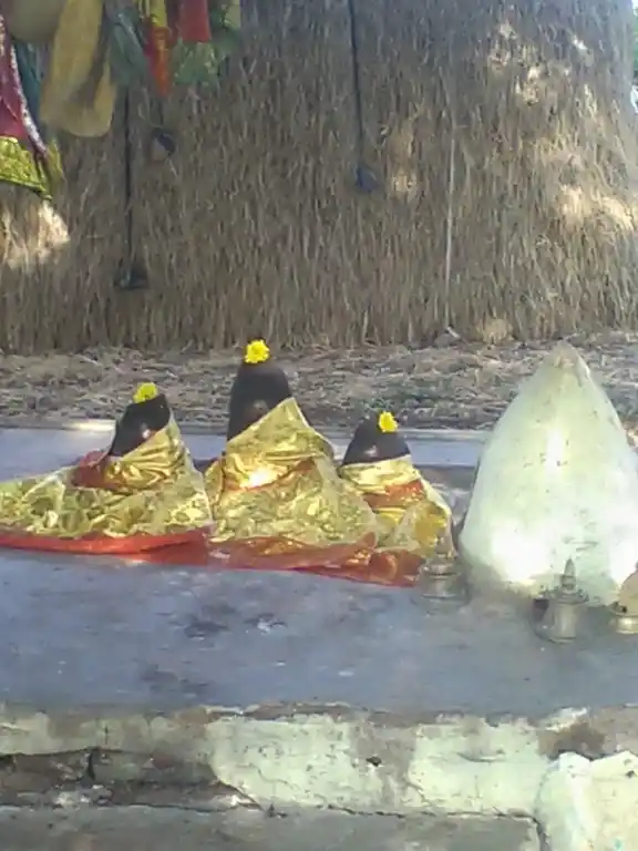 Arulmigu Pinjiamman Temple, Pinjur - 606601 அருள்மிகு பிஞ்சியம்மன் திருக்கோயில், Pinjur - 606601, Tiruvannamalai - Ancient Temple Architecture and History Image 4