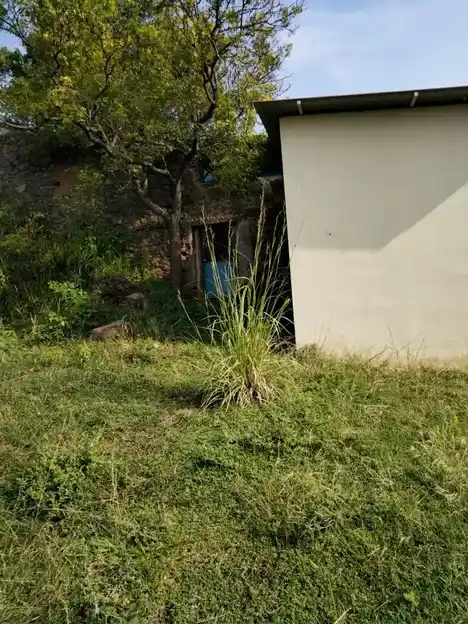 Arulmigu Piraisoodi Kandan Sastha Temple, Navalkadu, Esanthimangalam - 629852 அருள்மிகு பிறைசூடிகண்டன்சாஸ்தா திருக்கோயில், Navalkadu, Esanthimangalam - 629852, Kanyakumari - Ancient Temple Architecture and History Image 4