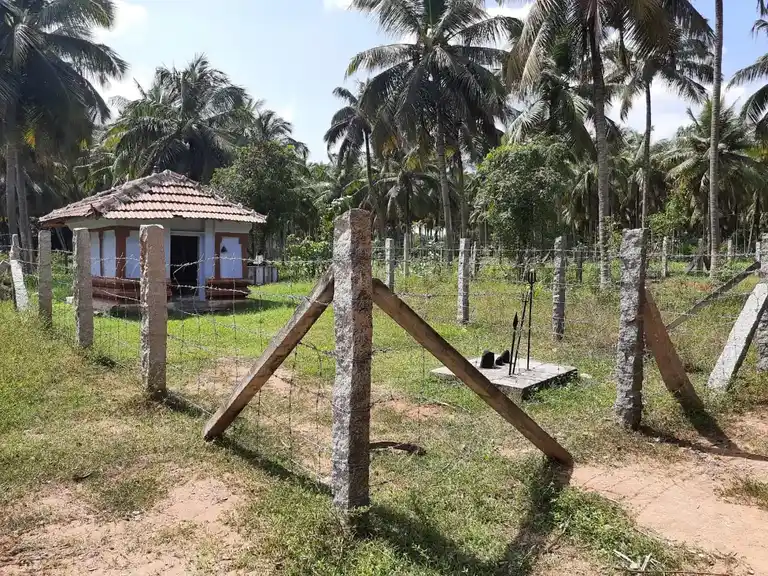 Arulmigu Piraliamman Temple, Marchanayakanpalayam - 642104