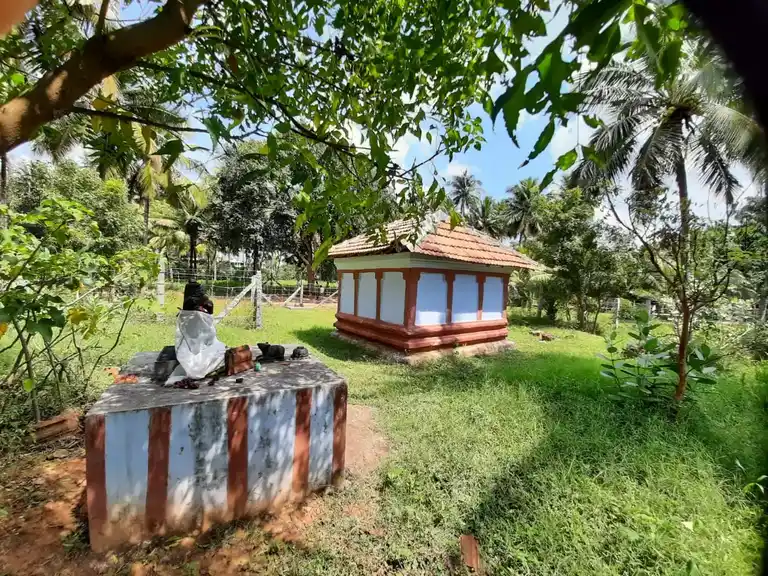 Arulmigu Piraliamman Temple, Marchanayakanpalayam - 642104 அருள்மிகு பிரளியம்மன் திருக்கோயில், Marchanayakanpalayam - 642104, Coimbatore - Ancient Temple Architecture and History Image 3