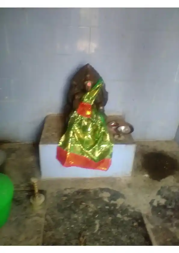 Arulmigu Pitariamman Temple, Palakkurichi - 611109 அருள்மிகு பிடாரியம்மன் திருக்கோயில், Palakkurichi - 611109, Nagapattinam - Ancient Temple Architecture and History Image 3