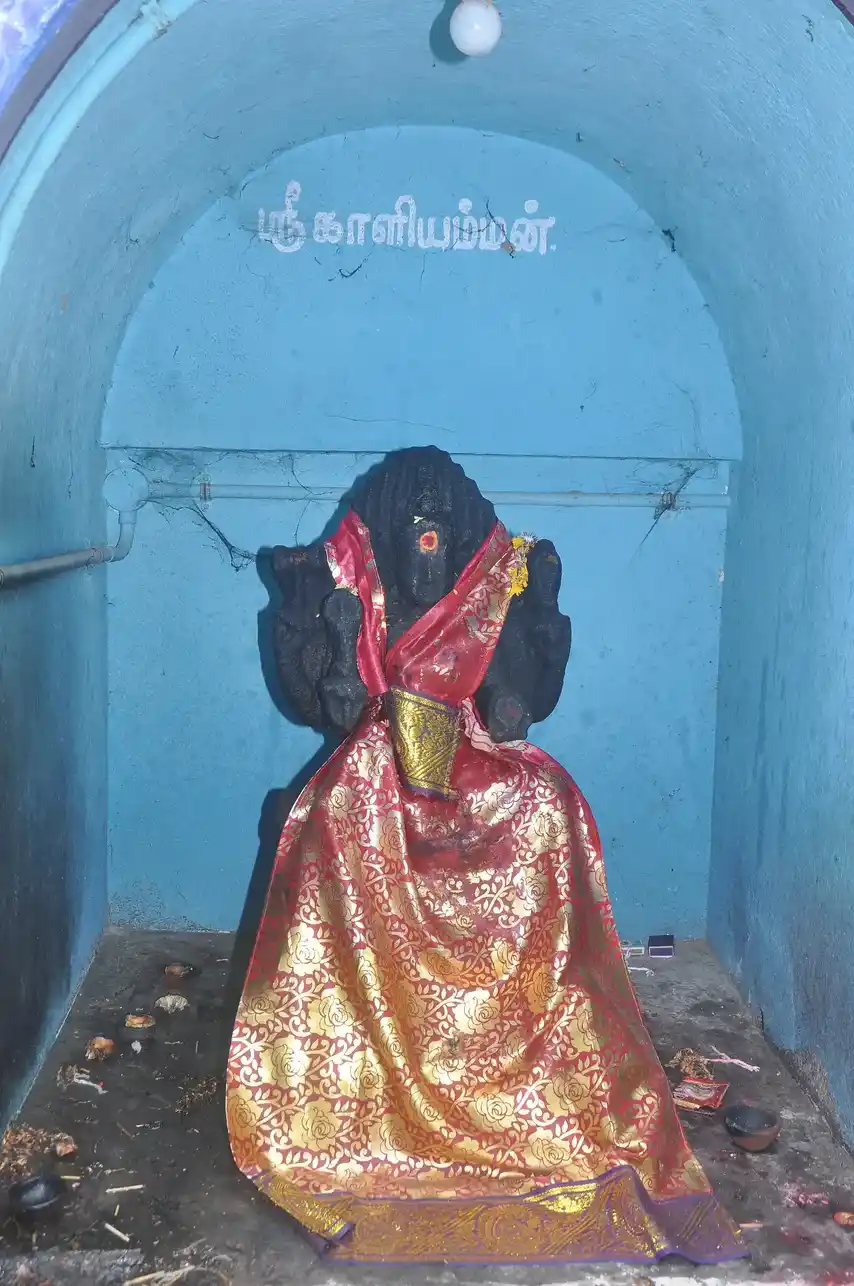 Arulmigu Pitariamman Temple, Thirukkuvalai - 610204 அருள்மிகுபிடாரியம்மன் திருக்கோயில், Thirukkuvalai - 610204, Nagapattinam - Ancient Temple Architecture and History Image 7