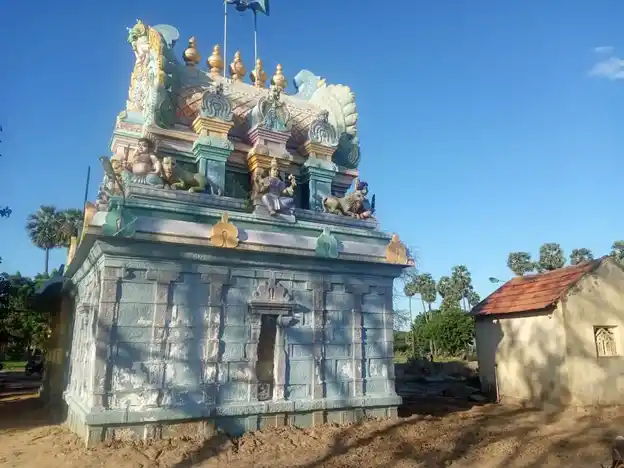Arulmigu Pitariyamman Temple, Thiruppunavasal, Thiruppunavasal - 614629 அருள்மிகு பிடாரியம்மன் திருக்கோயில், திருப்புனவாசல், ஆவுடையார்கோவில் வட்டம் - 614629, Pudukkottai - Ancient Temple Architecture and History Image 3