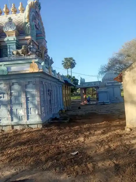 Arulmigu Pitariyamman Temple, Thiruppunavasal, Thiruppunavasal - 614629 அருள்மிகு பிடாரியம்மன் திருக்கோயில், திருப்புனவாசல், ஆவுடையார்கோவில் வட்டம் - 614629, Pudukkottai - Ancient Temple Architecture and History Image 4