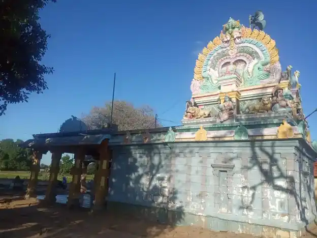 Arulmigu Pitariyamman Temple, Thiruppunavasal, Thiruppunavasal - 614629 அருள்மிகு பிடாரியம்மன் திருக்கோயில், திருப்புனவாசல், ஆவுடையார்கோவில் வட்டம் - 614629, Pudukkottai - Ancient Temple Architecture and History Image 5