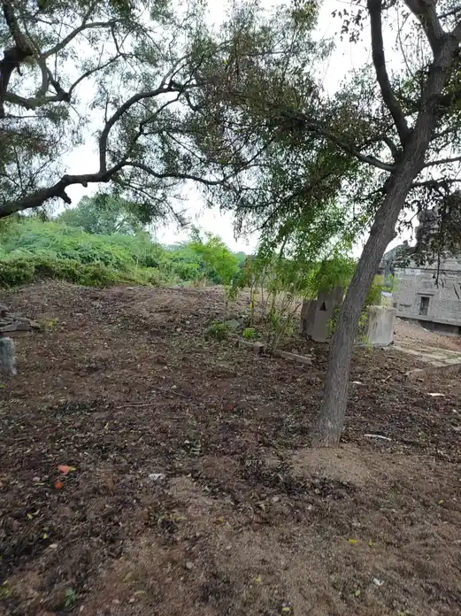 Arulmigu Pitariyar Temple, Sencheri - 621107 Temple