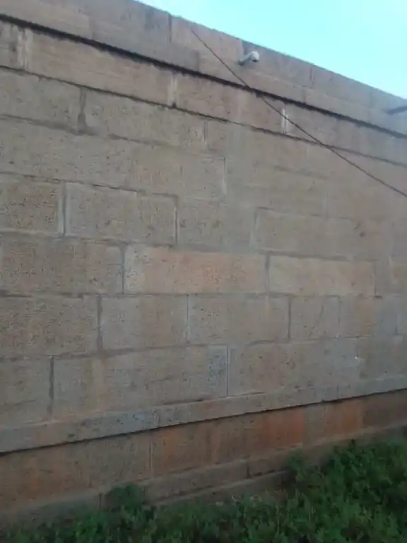 Arulmigu Pitchaie Amman Temple, Pathar Pettai - 621011 Arulmigu Pitchaie amman Temple, Pathar Pettai, Pathar Pettai - 621011, Thiruchirappalli - Ancient Temple Architecture and History Image 3