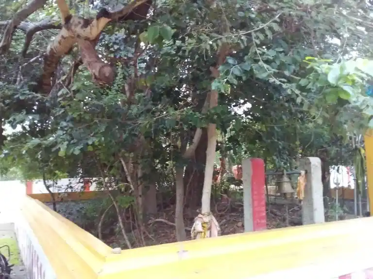 Arulmigu Pithavurkudi Karuppar Temple, Sempoothi - 622401 அருள்மிகு பிதாவூர்குடிக்கருப்பர் திருக்கோயில், Sempoothi - 622401, Pudukkottai - Ancient Temple Architecture and History Image 4