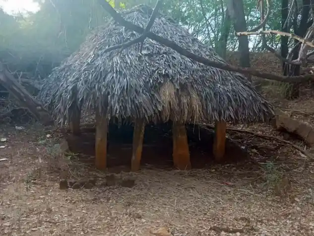 Arulmigu Poi Solla Mei Ayyanar Temple, Settikurichi - 630410 அருள்மிகு.பொய் சொல்லா மெய் அய்யனார் திருக்கோயில், Settikurichi - 630410, Sivagangai - Ancient Temple Architecture and History Image 3