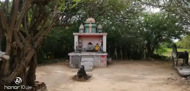 Arulmigu Poisollameiyyar Karuppar Temple, Kanniyappatti - 622103 அருள்மிகு பொய்சொல்லாமெய்யர் கருப்பர் திருக்கோயில், Kanniyappatti - 622103, Pudukkottai - Ancient Temple Architecture and History Image 4