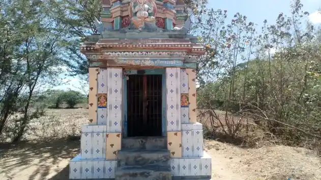Arulmigu Poiyatha Pillaiyar Temple, Kiramathumedu - 611102 அருள்மிகு பொய்யாதபிள்ளையார் திருக்கோயில், Kiramathumedu - 611102, Nagapattinam - Ancient Temple Architecture and History Image 3