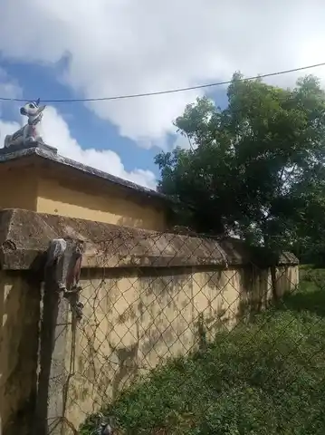 Arulmigu Poiyathavinayagar Temple, Thirunagari - 609106 அருள்மிகுபொய்யாதவிநாயகர்திருக்கோயில், Sirkali - 609106, Mayiladuthurai - Ancient Temple Architecture and History Image 3