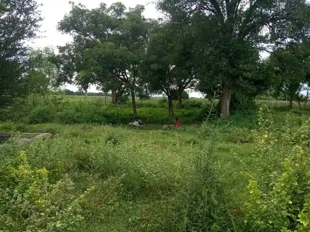 Arulmigu Pokkarai Sakthiamman Temple, Thadaiyampatti - 625535 அருள்மிகு மூக்கரை சாத்தியம்மன் திருக்கோயில், Thadaiyampatti - 625535, Madurai - Ancient Temple Architecture and History Image 3