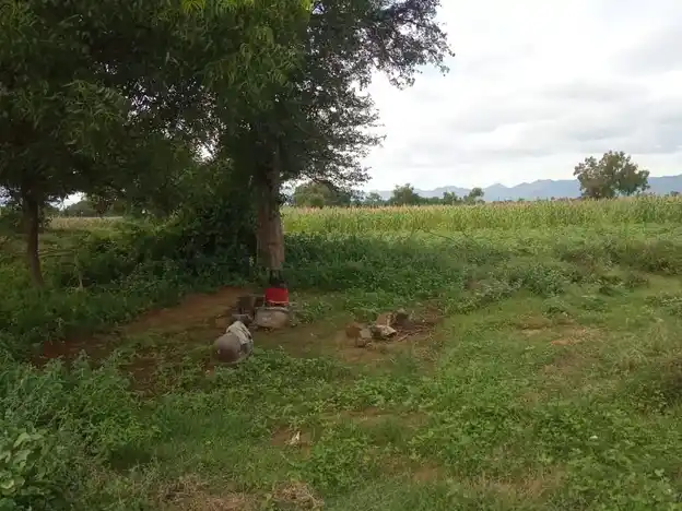 Arulmigu Pokkarai Sakthiamman Temple, Thadaiyampatti - 625535 அருள்மிகு மூக்கரை சாத்தியம்மன் திருக்கோயில், Thadaiyampatti - 625535, Madurai - Ancient Temple Architecture and History Image 4