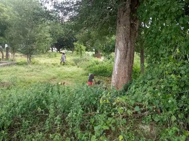 Arulmigu Pokkarai Sakthiamman Temple, Thadaiyampatti - 625535 அருள்மிகு மூக்கரை சாத்தியம்மன் திருக்கோயில், Thadaiyampatti - 625535, Madurai - Ancient Temple Architecture and History Image 5