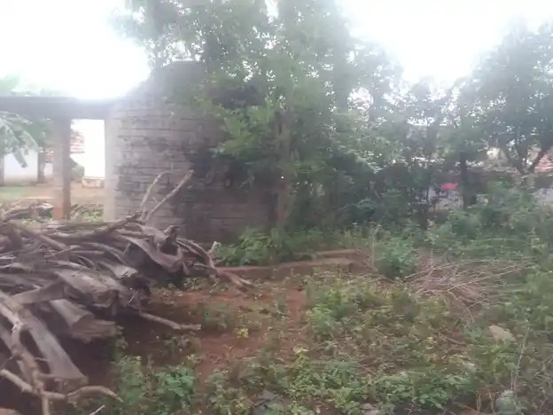 Arulmigu Pommakalamman Temple, Seegampatti - 621311 Arulmigu Pommakalamman Temple, Seegampatti - 621311, Thiruchirappalli - Ancient Temple Architecture and History Image 3