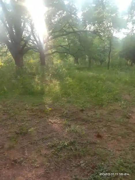 Arulmigu Pon Ayyanaar Temple, Sirangattupatty - 624403