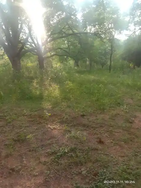 Arulmigu Pon Ayyanaar Temple, Sirangattupatty - 624403 அருள்மிகு பொன் அய்யனார் கோயில், Sirangattupatty - 624403, Dindigul - Ancient Temple Architecture and History Image 4