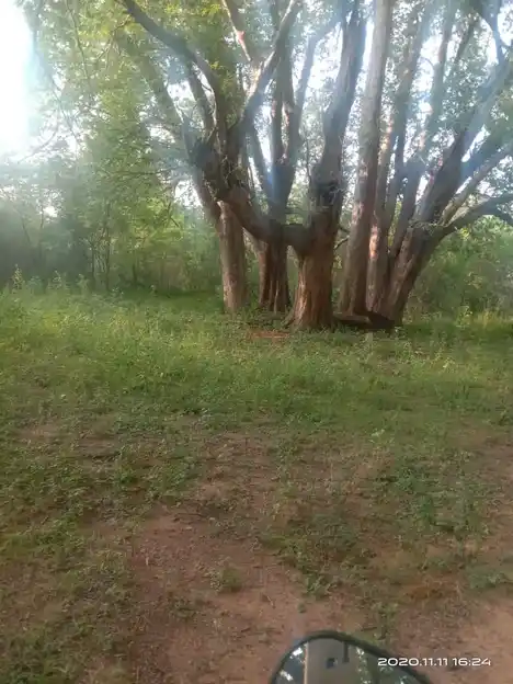 Arulmigu Pon Ayyanaar Temple, Sirangattupatty - 624403 அருள்மிகு பொன் அய்யனார் கோயில், Sirangattupatty - 624403, Dindigul - Ancient Temple Architecture and History Image 5